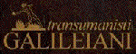 Bitmap Image